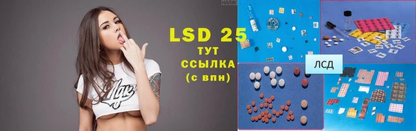 индика Алексеевка